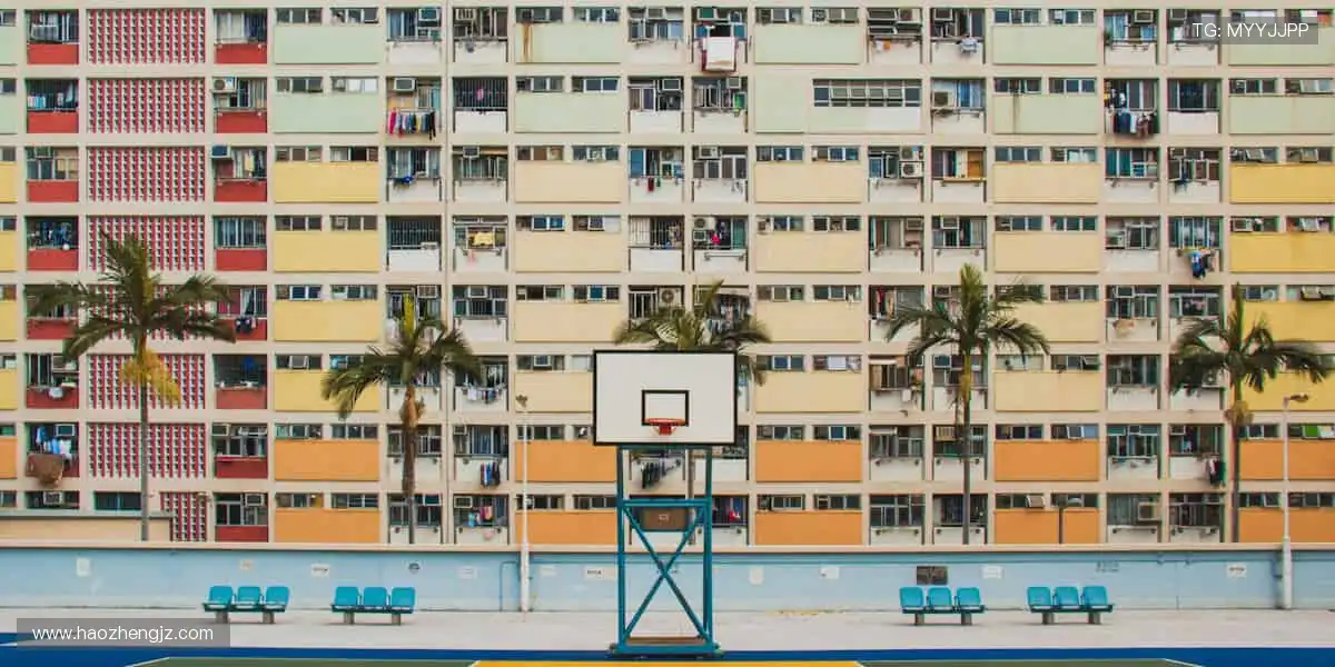 体育周边，冠军同款，你的专属装备库！🏆🎯